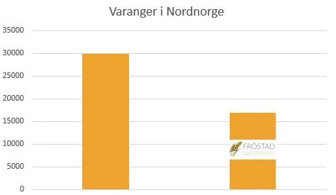 Min vision: Det ska löna sig att åka på en arrangerad fotoresa.