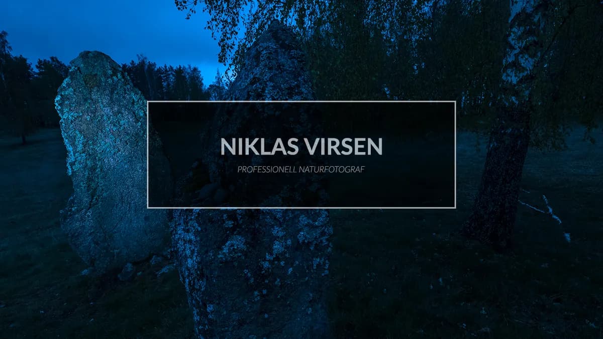 Fotograferar minnesmärken från vikingatiden.