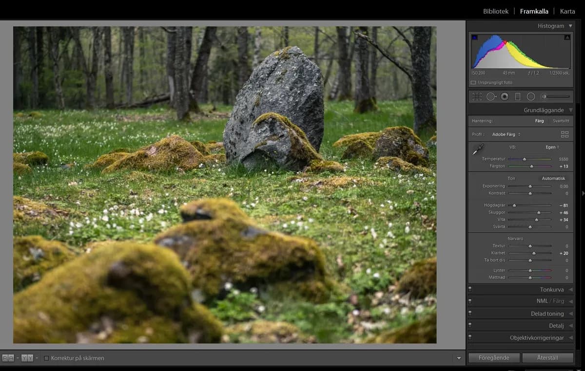 Är ditt Lightroom långsamt?
