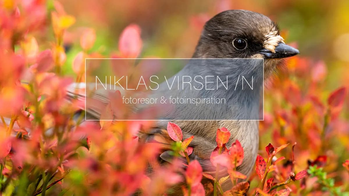 Fotoresor & fotoinspiration.