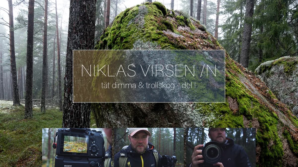 Tät dimma & trollskog – DEL I