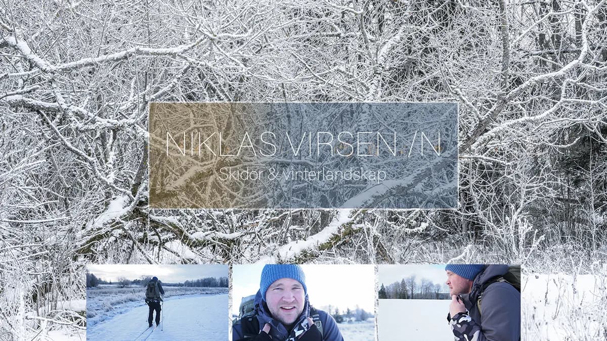 Skidor & vinterlandskap.