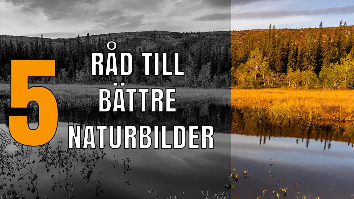 5 anledningar till att dina naturbilder känns tråkiga.