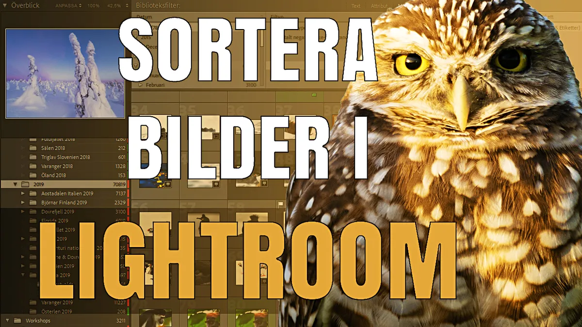 Sortera bilder i Lightroom – såhär gör jag!