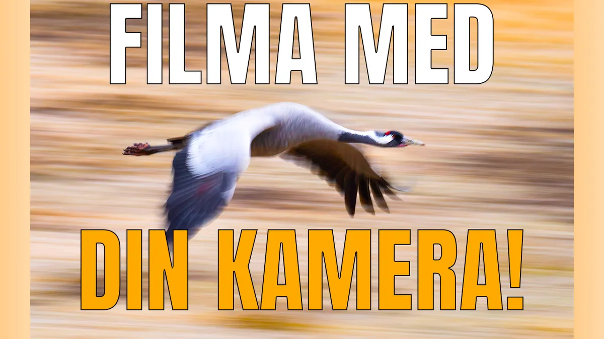 6 råd för dig som vill börja att filma med din systemkamera.