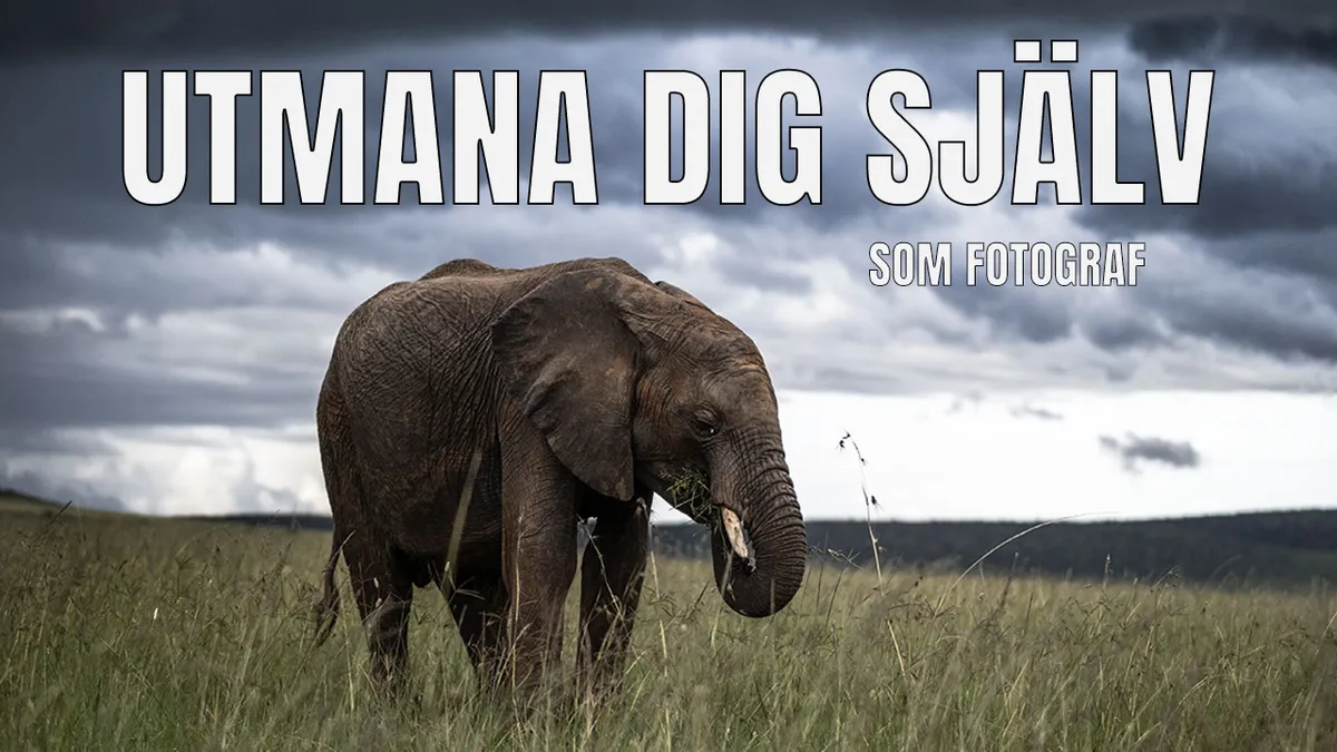 Utmana dig själv som fotograf.