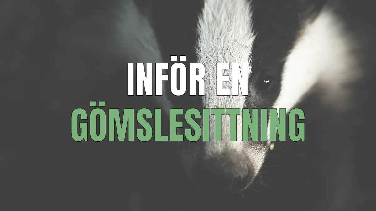 Förberedelser inför en gömslesittning.