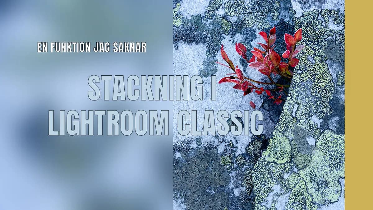 Lightroom Classic stackning – En funktion jag saknar!