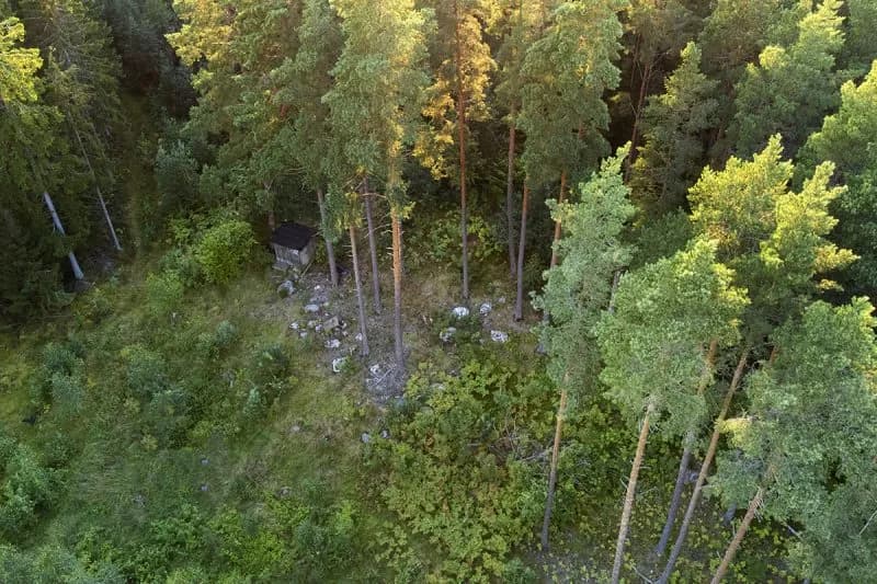 Bästa fotomöjligheterna i mitt fotogömsle – rovfåglar & skogsfåglar