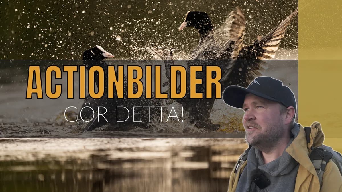 Missar du actionbilderna? Så här gör jag för att alltid vara redo!