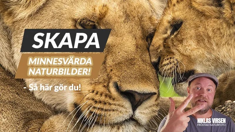 Minnesvärda naturbilder – 3 nycklar du måste känna till