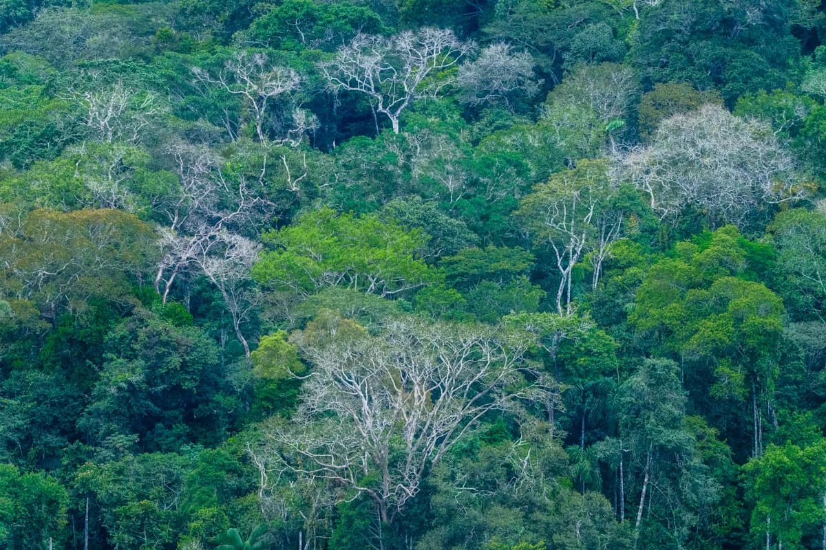 Variation under fotoresan i Bolivia, bild 2