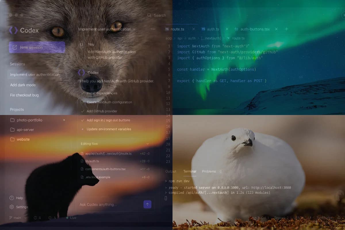 AI-verktyg, programmering och digitalt innehåll
