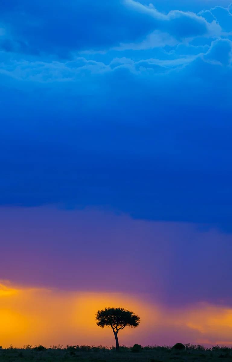 Masai Mara, Kenya – bild 70