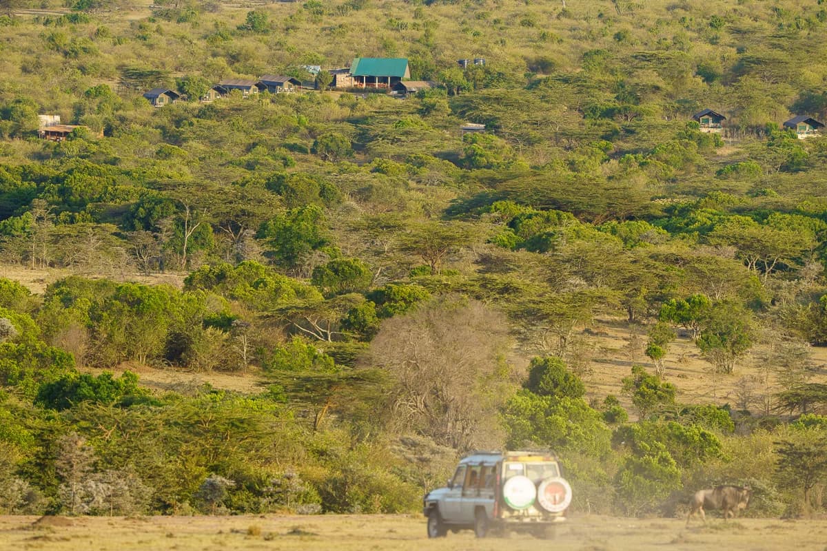Masai Mara, Kenya – bild 123
