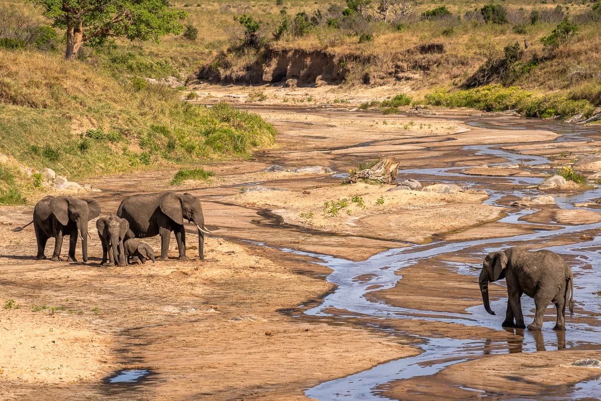 Masai Mara, Kenya – bild 150