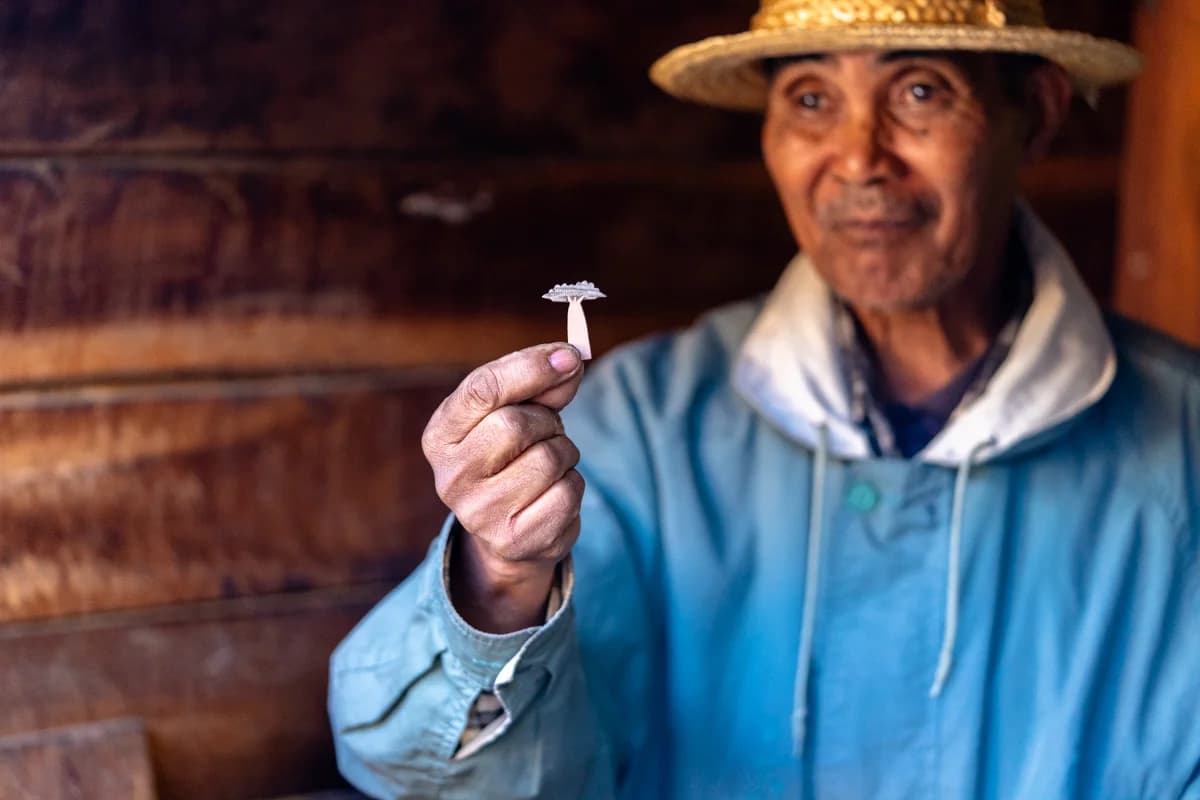 Lokal guide visar ett litet naturfynd på Madagaskar