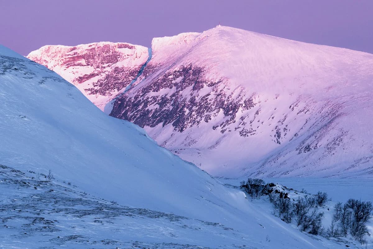 Snøhetta i rosa morgonljus
