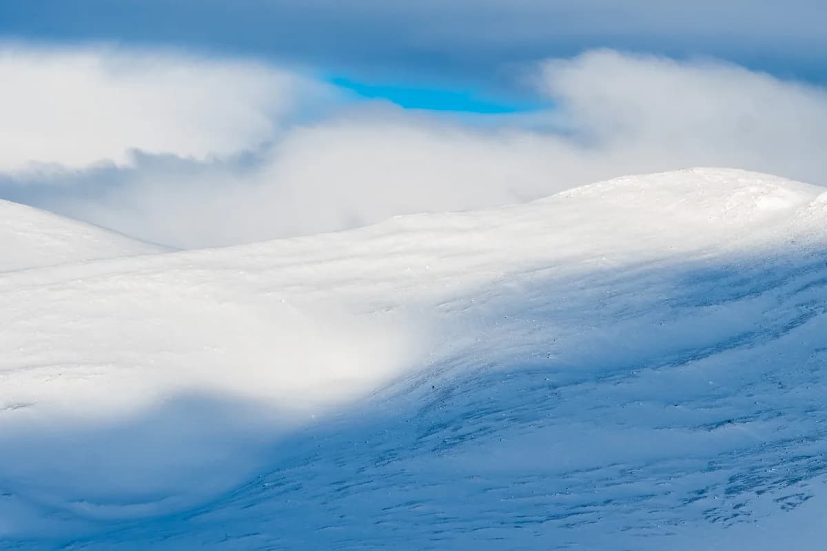 Vita fjäll under blå himmel i Dovrefjell