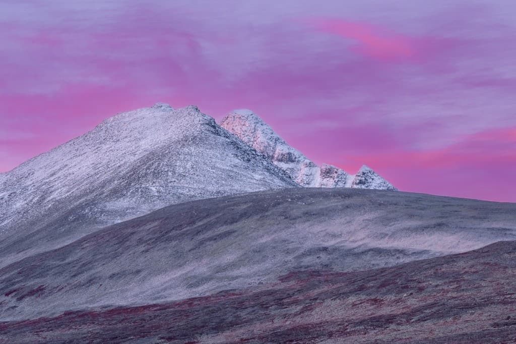 Snötäckt bergstopp i rosa morgonljus — Rondane nationalpark