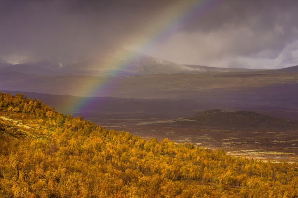 Regnbåge över höstfärgat landskap i Rondane nationalpark