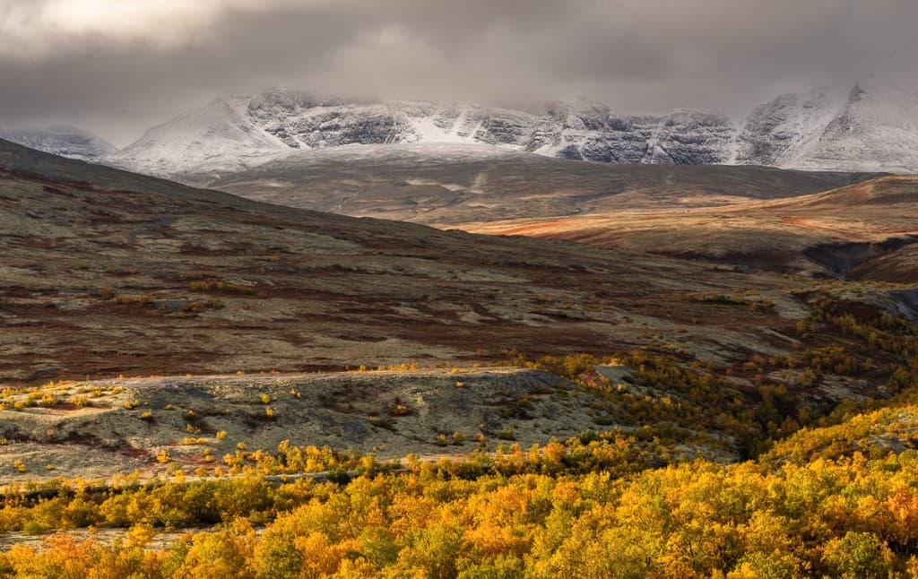 Snötäckta bergstoppar med höstfärgade fjällbjörkar i dalen — Rondane nationalpark