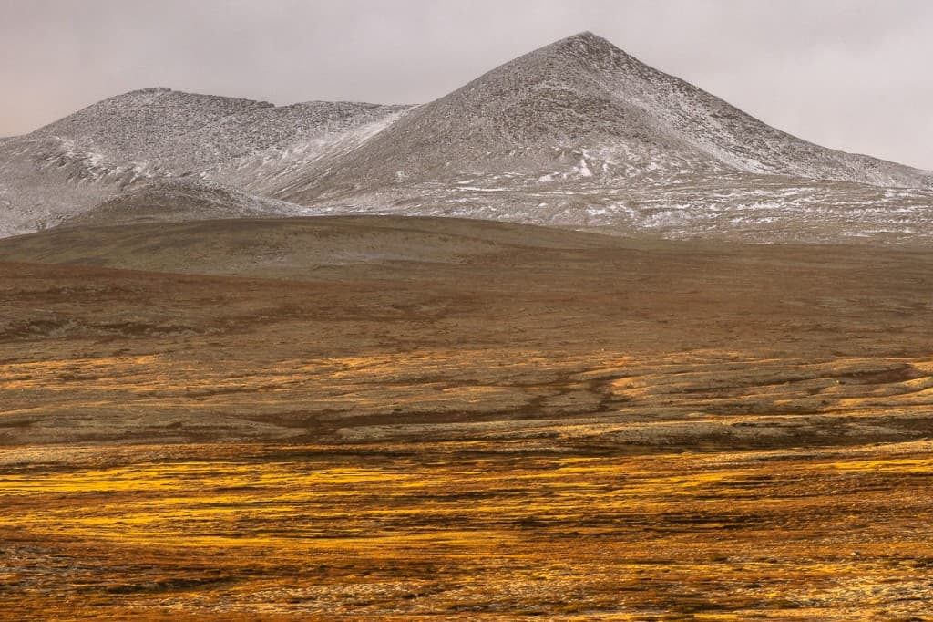 Snötäckta bergstoppar med höstfärgade fjällbjörkar i dalen — Rondane nationalpark