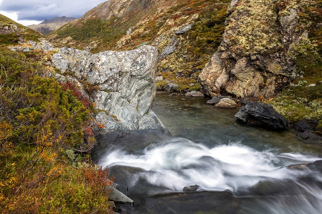 Porlande bäck och forsar i höstlandskap — Rondane nationalpark