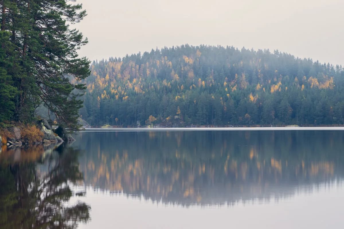 Stilla skogssjö med höstfärgad skog i Tiveden