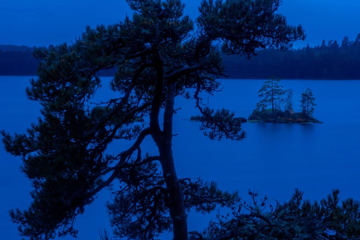 Skogssjö och tallar i blå timmen i Tiveden