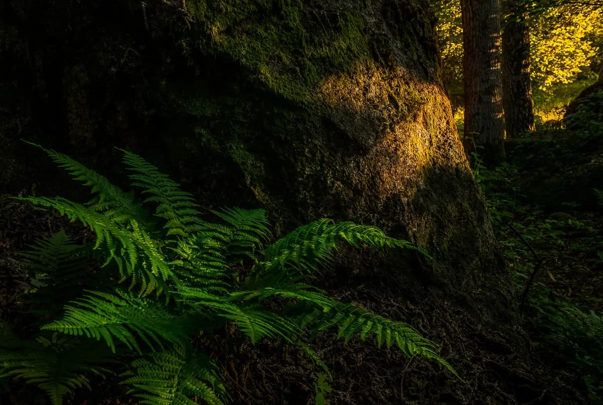 10 tips för bättre landskapsfotografier!