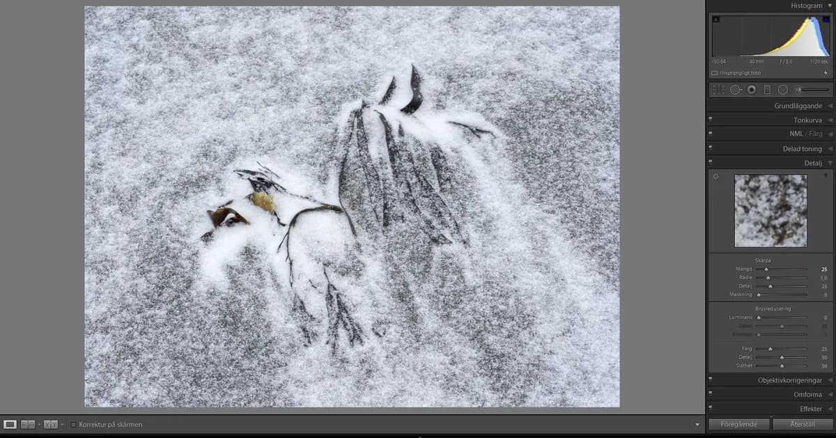 Ett renare gränssnitt i Lightroom Classic CC – Såhär gör du!