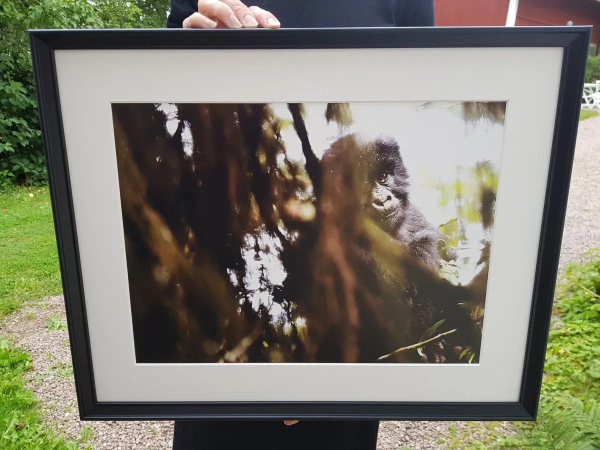 Ett nytt fotogalleri i Östergötland.