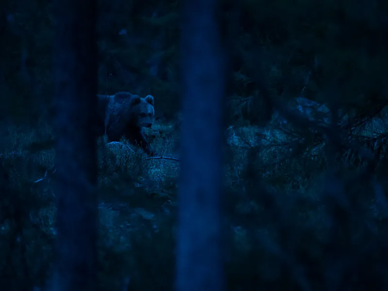 Därför ska du ändra vitbalansen även om du fotograferar i RAW.