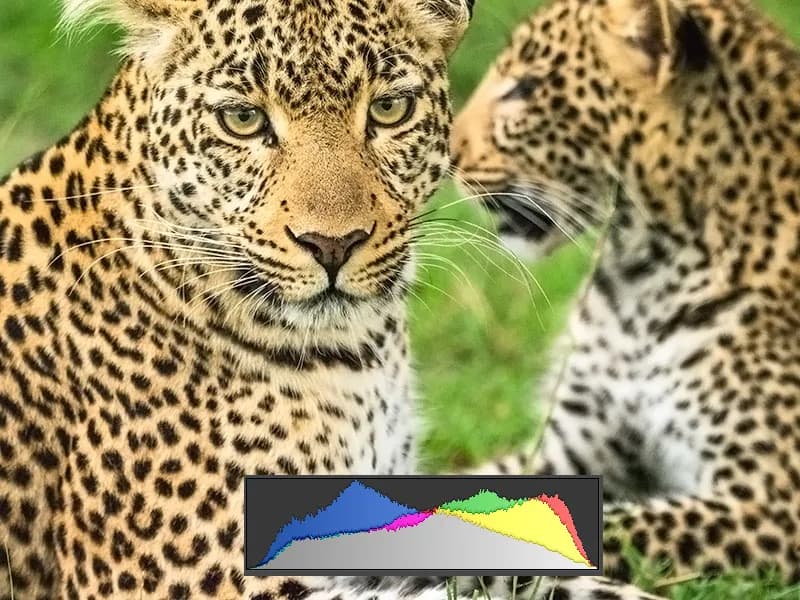 Korrekt histogram i fotografering – finns det?
