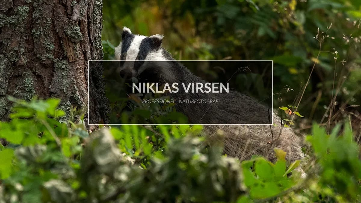 Grävlingsgömslet – mina bästa råd!