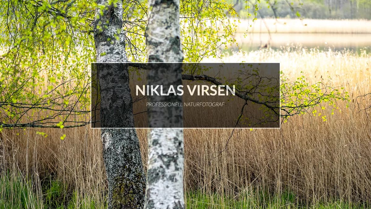 Fotograferar i sköna maj.