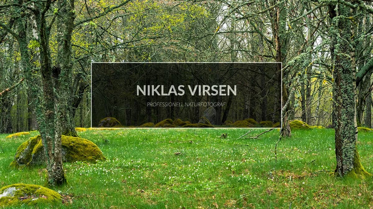 Vikingar & fornlämningar.