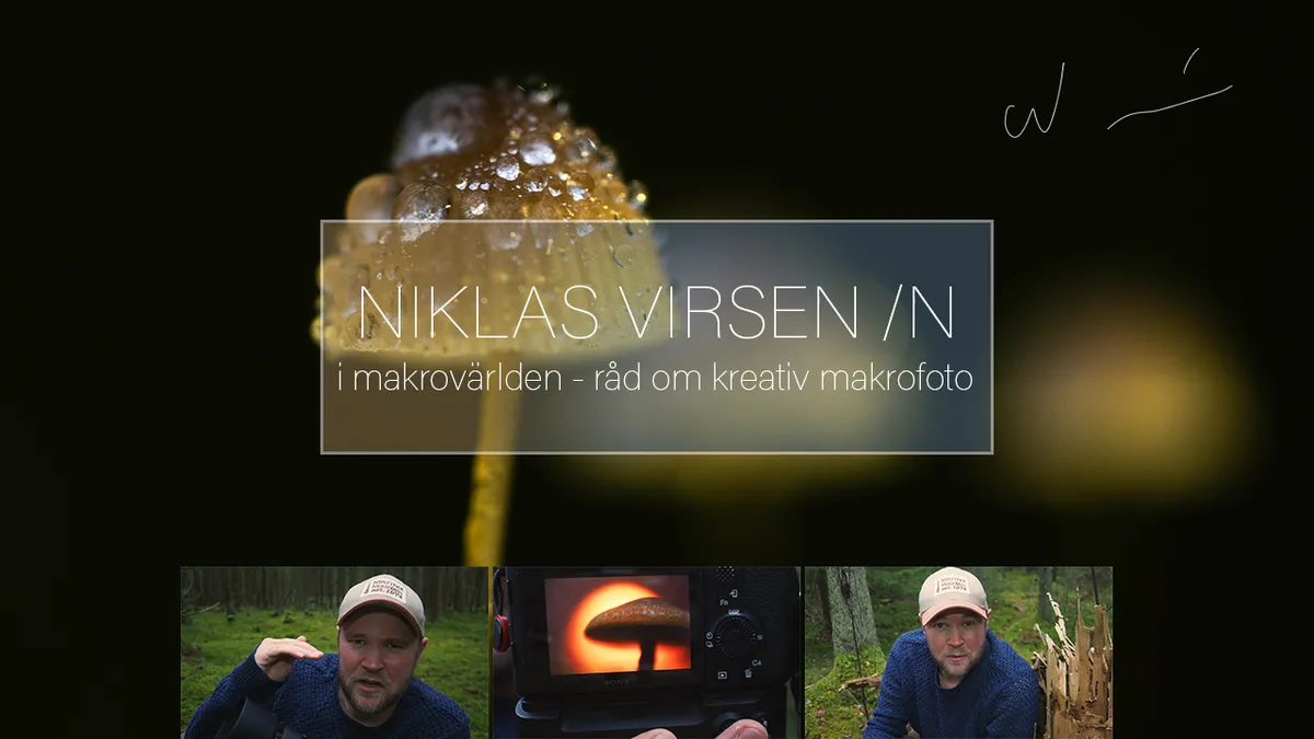 I makrovärlden – Råd om kreativ makrofotografering.