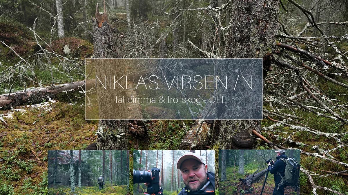 Tät dimma & Trollskog – Del II