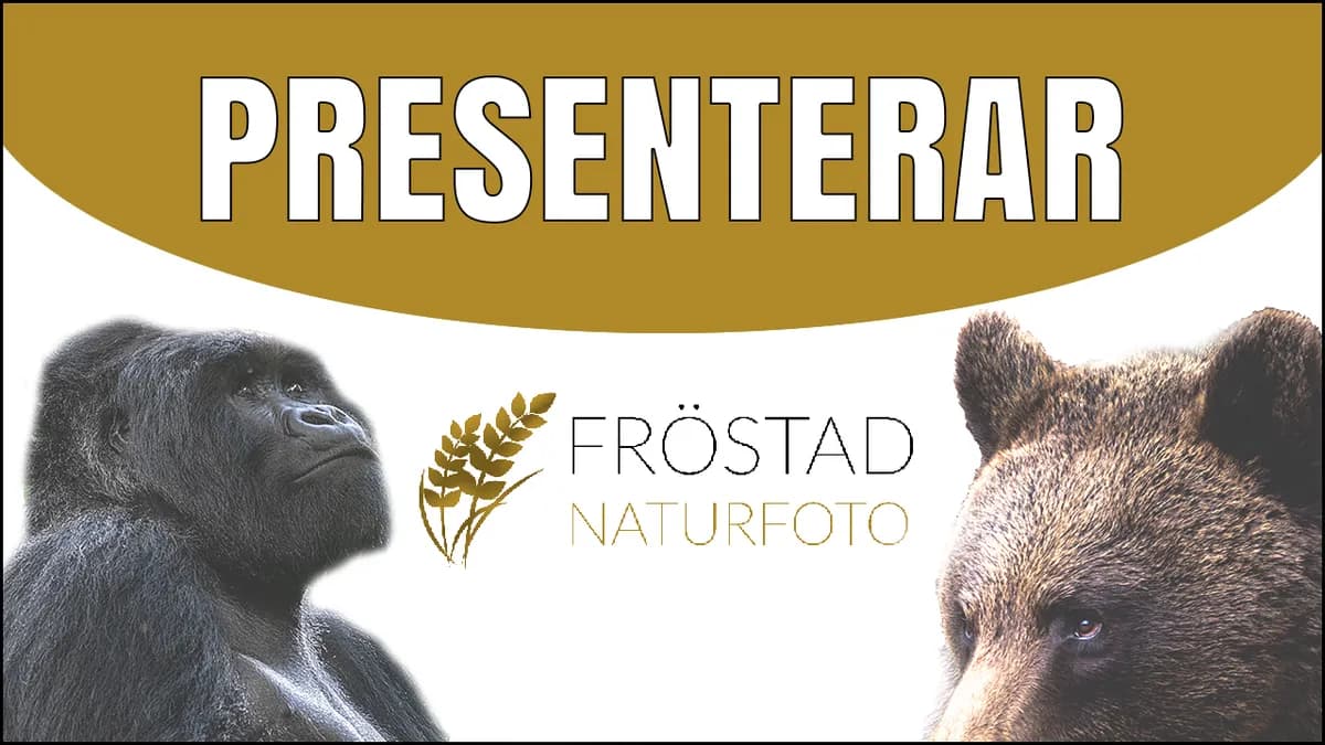 Ny presentationsvideo för Fröstad Naturfoto.
