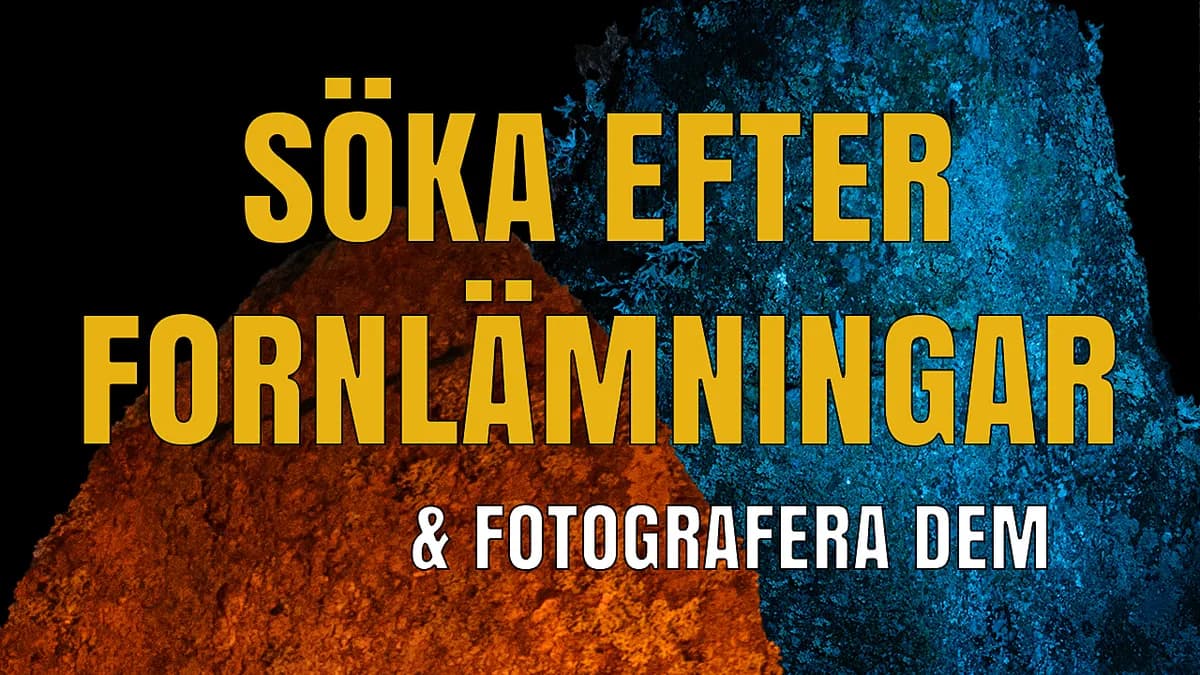 Söka efter fornlämningar & fotografera dem.
