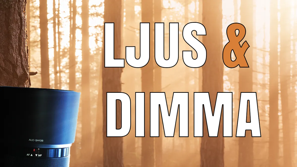 Ljus & dimma – Att arbeta med ljuset.