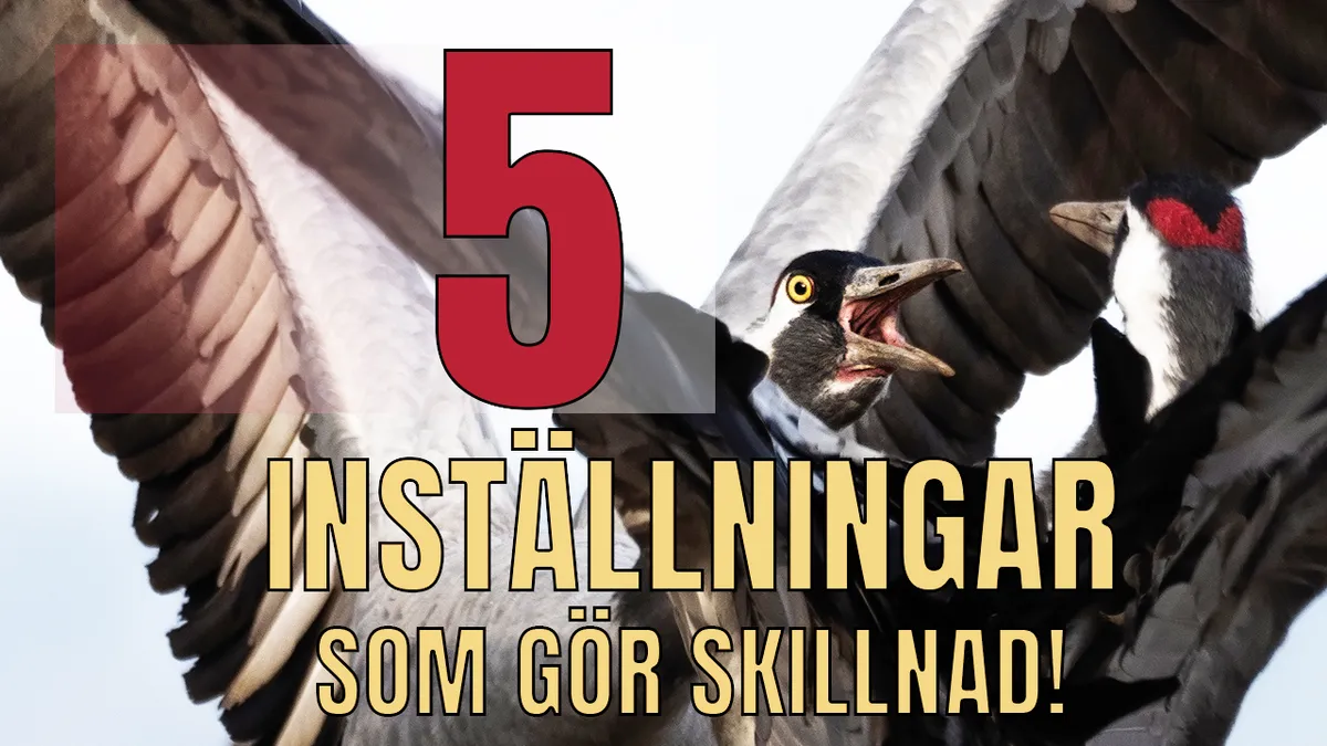 Kamerainställningar som gör skillnad! 5 saker du inte får missa.