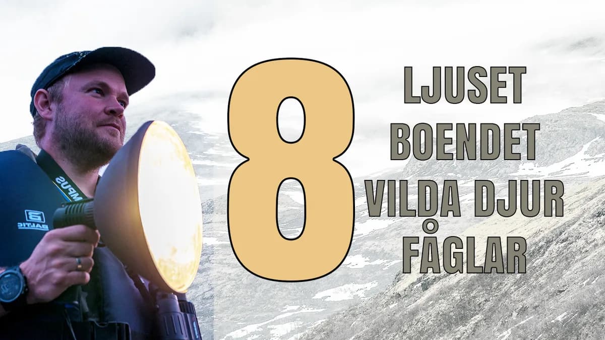 8 saker som jag kollar upp innan en fotoresa.