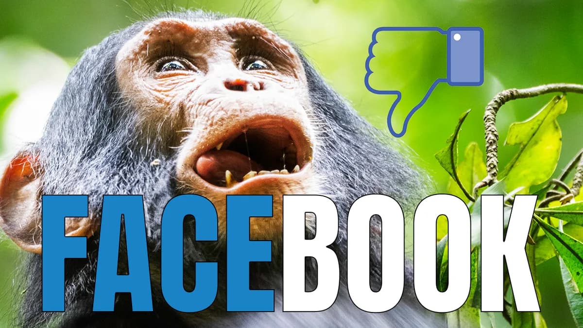 Facebook & dina naturfotografier!