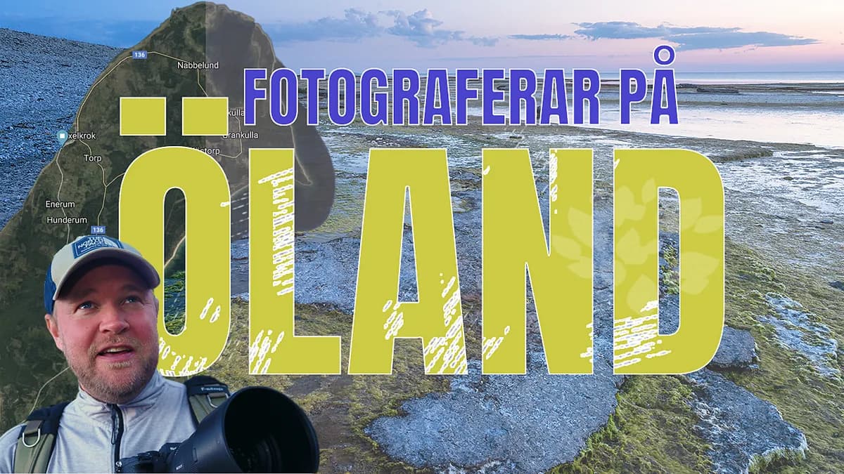 Tallar & solnedgång på norra Öland – tips för landskapsfoto.