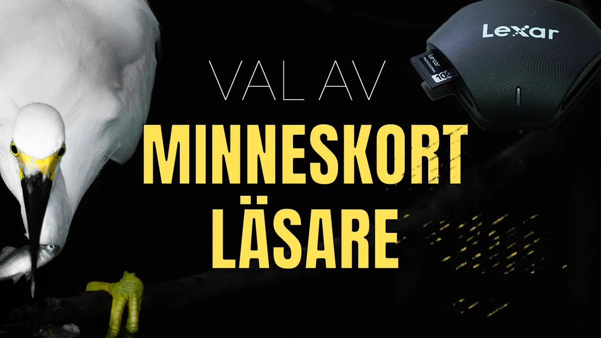 Val av minneskortläsare & tillhörande minneskort.