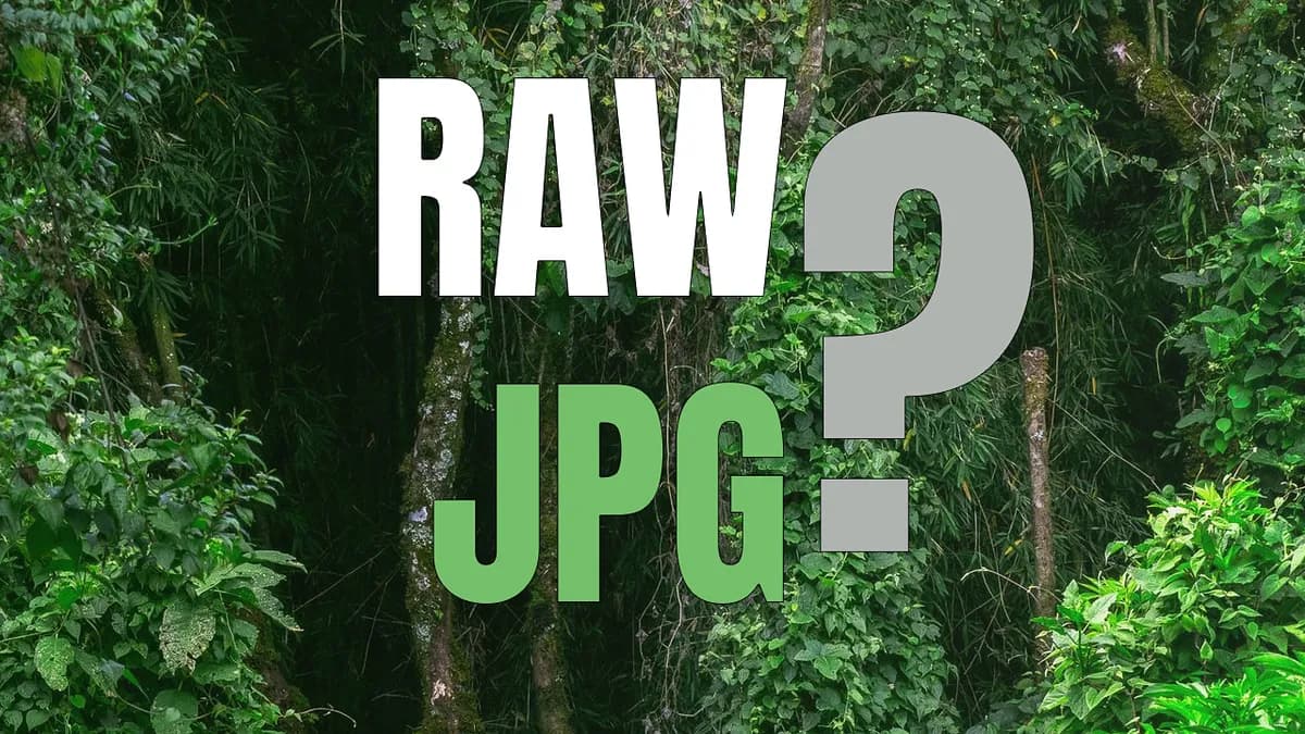 RAW eller JPG – vilket ska du välja? (svaret är inte glasklart!)