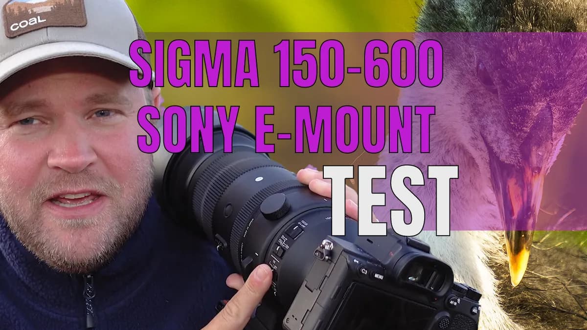 Sigma 150 – 600 F 5 – 6,3 DG DN OS | Sport för Sony E-mount – RECENSION & TEST.